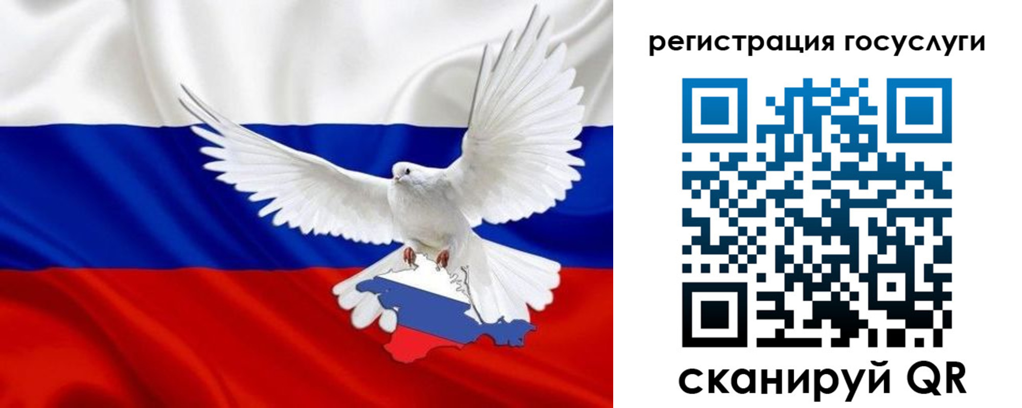 прописка законно в Апатитах